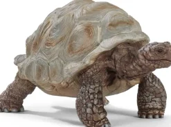 Schleich 14824 Jättiläiskilpikonna