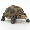 Schleich Jättiläiskilpikonna 14601 - Second Hand