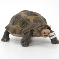 Schleich Jättiläiskilpikonna 14601 - Second Hand