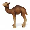 Schleich Kameli poikanen 14356 - Second Hand
