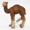 Schleich Kameli poikanen 14356 - Second Hand