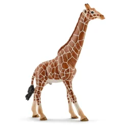 Schleich 14749 Kirahvi, uros