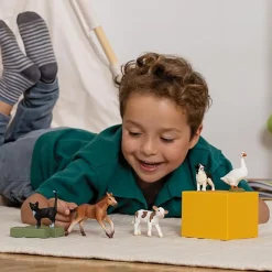 Schleich 42386 Kotieläimet 5kpl lahjapakkaus