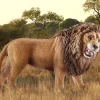 Schleich 17000 Leijona karjuva uros