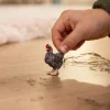 Schleich 13997 Plymouth Rock kana