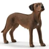 Schleich 13895 Rhodesian koira