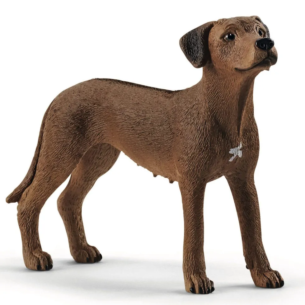 Schleich 13895 Rhodesian koira