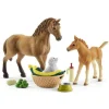 Schleich 42432 Sarahin eläinvauva setti