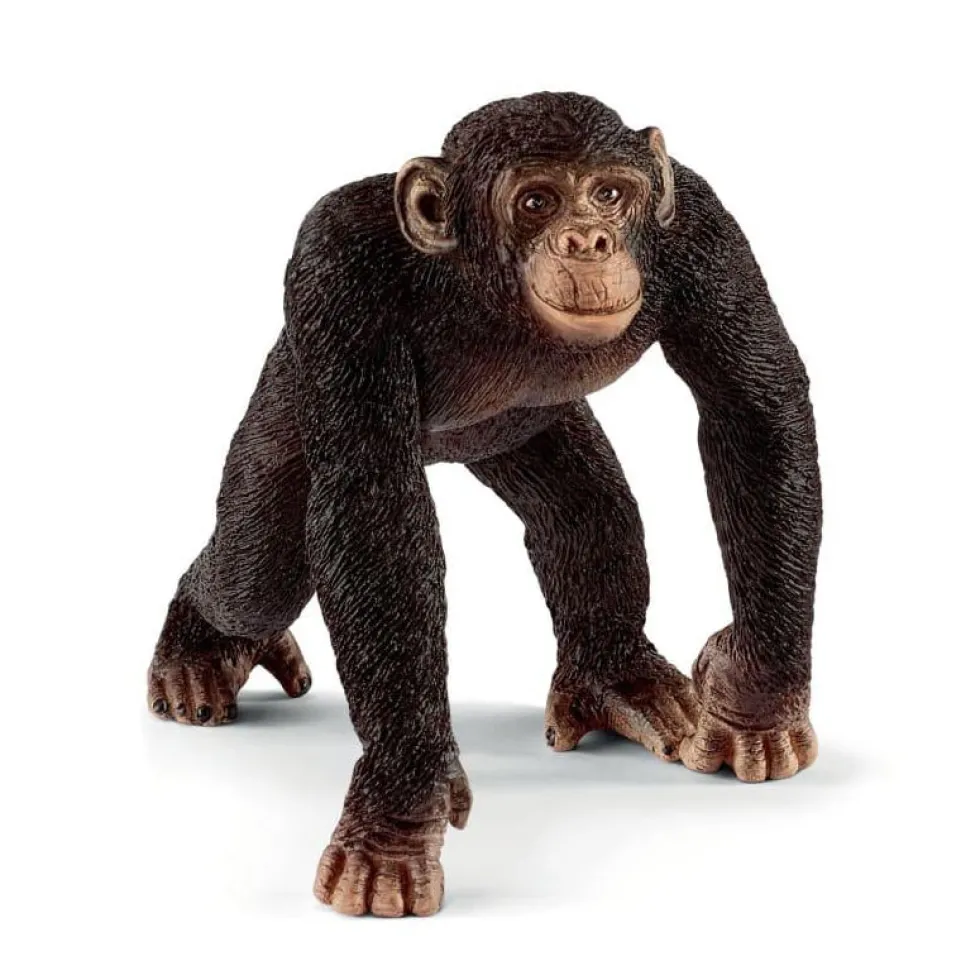 Schleich 14817 Simpanssi