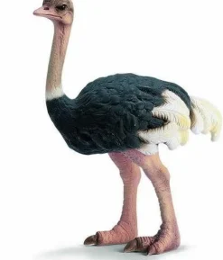 Schleich 17030 Strutsi - Erikoiserä!