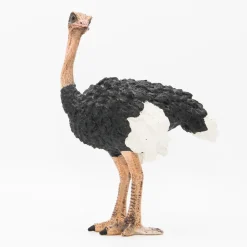 Schleich Strutsi 14744 - Second Hand