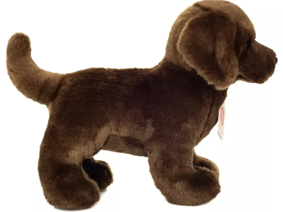 Teddy Hermann Labradorinnoutaja pehmolelu 30cm